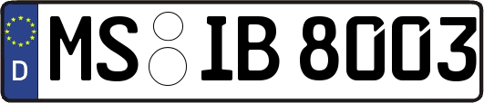 MS-IB8003
