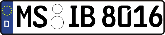 MS-IB8016