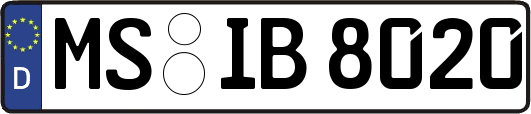 MS-IB8020