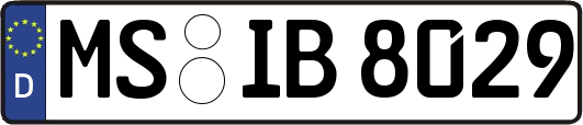 MS-IB8029