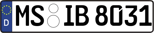 MS-IB8031
