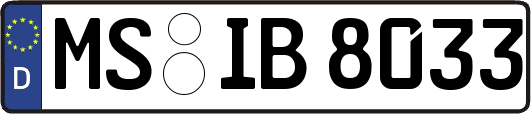 MS-IB8033