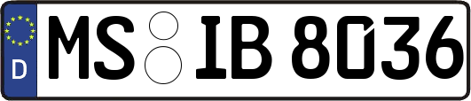 MS-IB8036
