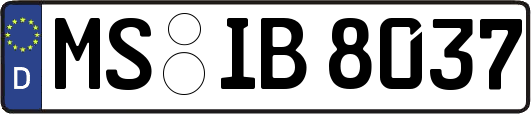 MS-IB8037