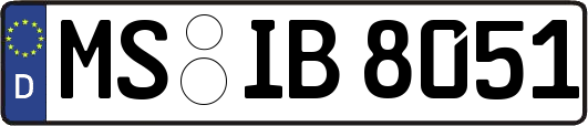 MS-IB8051