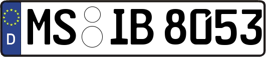 MS-IB8053