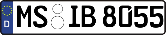 MS-IB8055