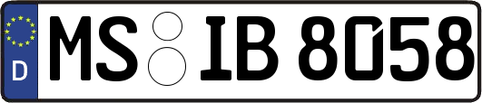 MS-IB8058
