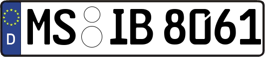 MS-IB8061