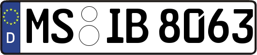 MS-IB8063
