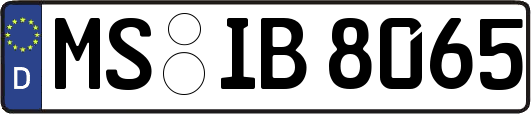 MS-IB8065