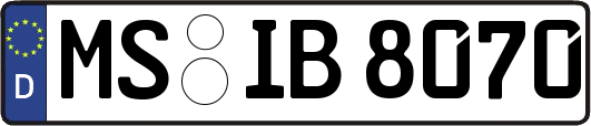 MS-IB8070