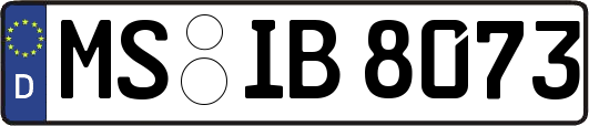 MS-IB8073