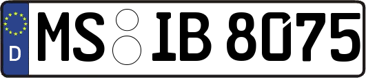 MS-IB8075