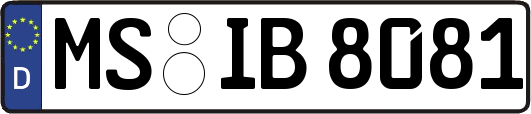 MS-IB8081