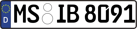 MS-IB8091