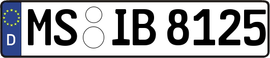MS-IB8125