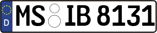 MS-IB8131