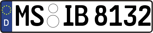 MS-IB8132