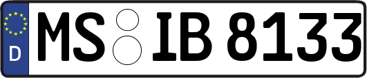 MS-IB8133