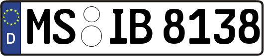 MS-IB8138