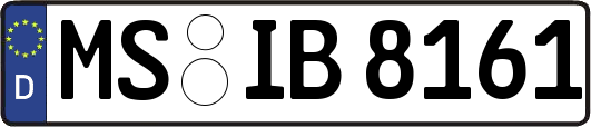 MS-IB8161