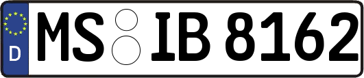 MS-IB8162