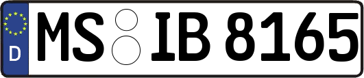 MS-IB8165
