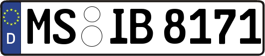 MS-IB8171