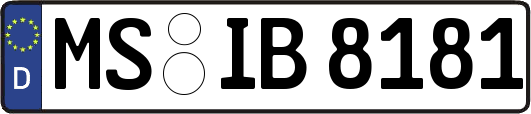 MS-IB8181