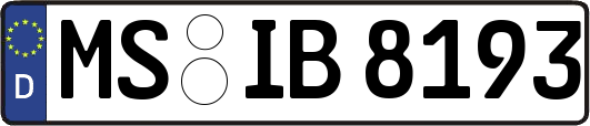 MS-IB8193