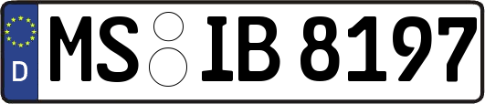 MS-IB8197