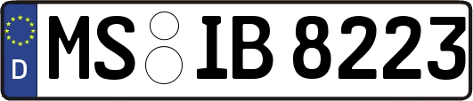 MS-IB8223