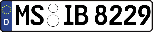 MS-IB8229