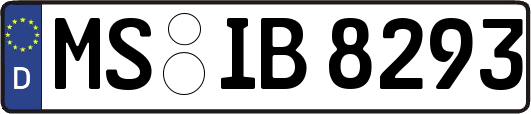 MS-IB8293
