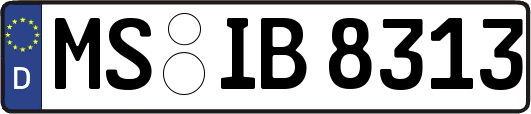 MS-IB8313