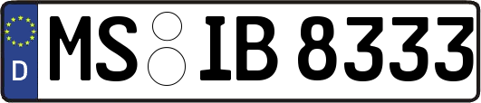 MS-IB8333
