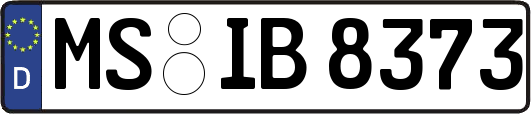 MS-IB8373