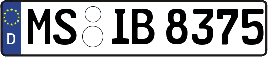 MS-IB8375