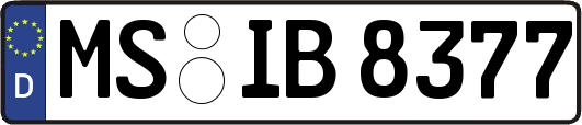 MS-IB8377
