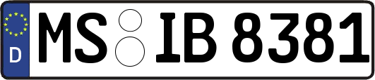 MS-IB8381