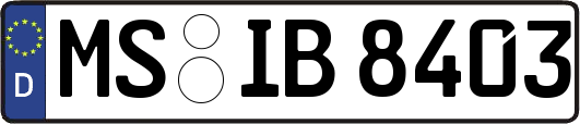MS-IB8403