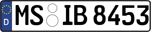 MS-IB8453