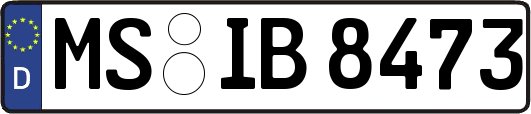 MS-IB8473