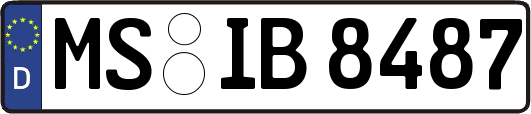 MS-IB8487