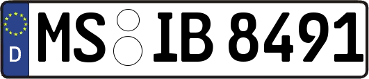 MS-IB8491