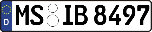 MS-IB8497