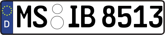 MS-IB8513
