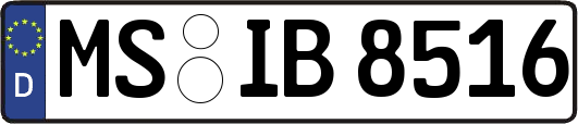 MS-IB8516