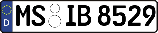 MS-IB8529